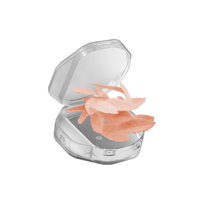 ZAR Nicotine AirPouch